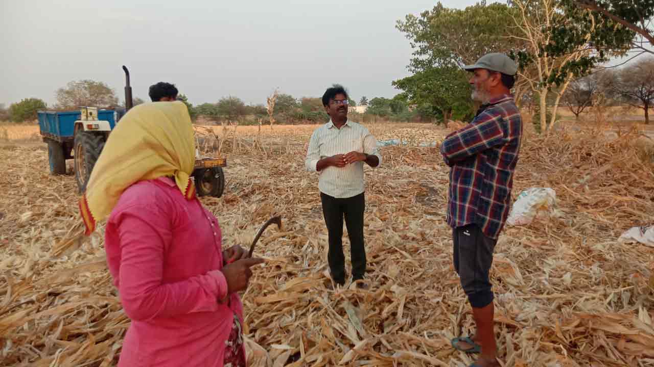 మక్కలు అమ్మడానికి గోస పడుతున్నం