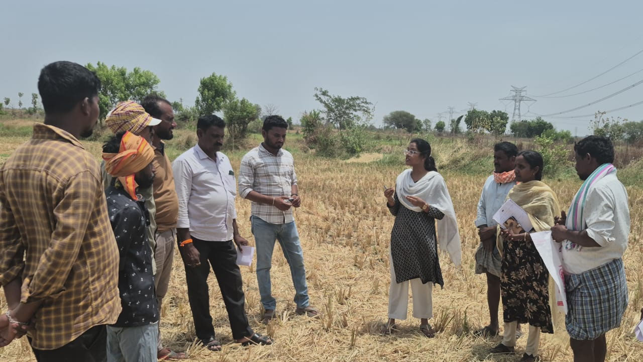 Tandur | వరి కొయ్యలను కాల్చడం వల్ల అపారమైన నష్టాలు