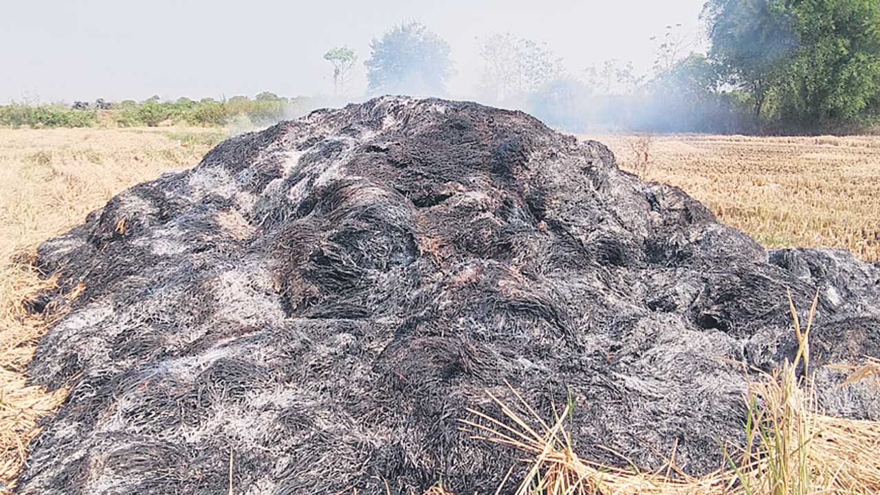 అకాల వర్షం.. అపార నష్టం