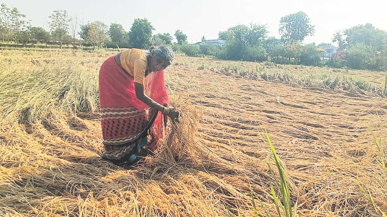అన్నదాతకు కన్నీరు