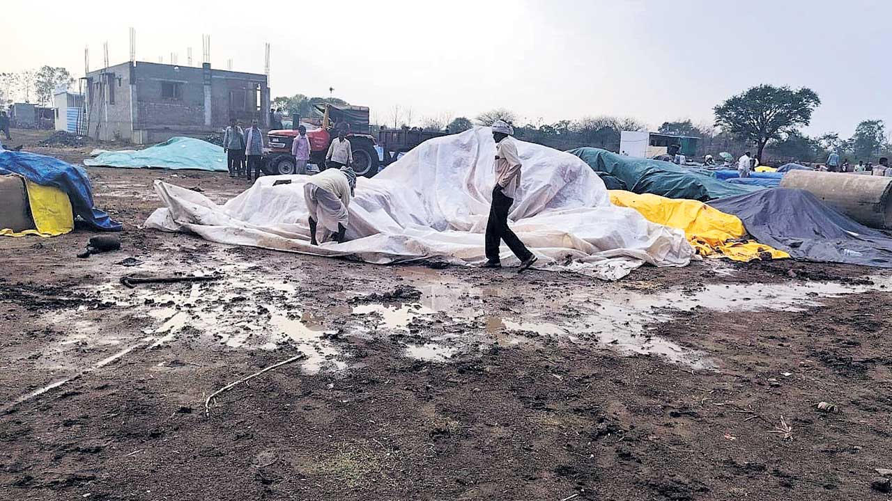 గాలివాన బీభత్సం