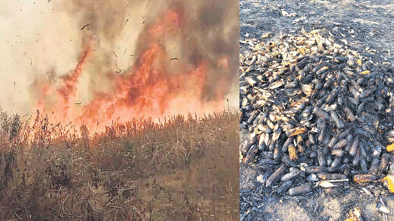 అగ్నికి ఆహుతి