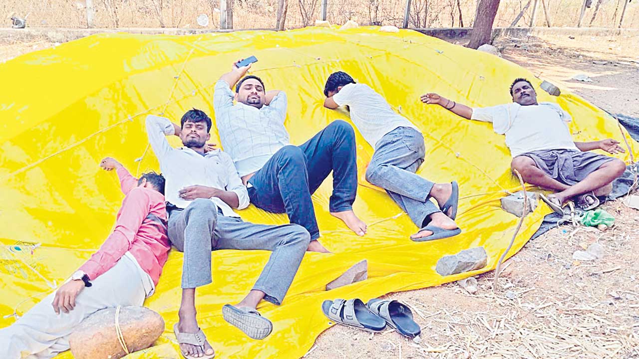 నత్తనడకన మక్కల కొనుగోళ్లు