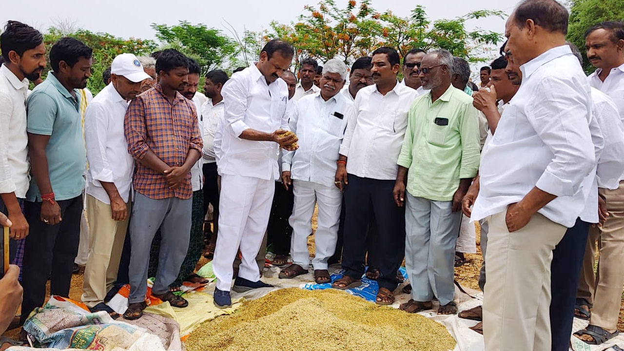 Procure Wet Grain | తడిసిన ధాన్యాన్ని కొనుగోలు చేయాలి : మాజీ ఎమ్మెల్యే ఆల వెంకటేశ్వర్ రెడ్డి
