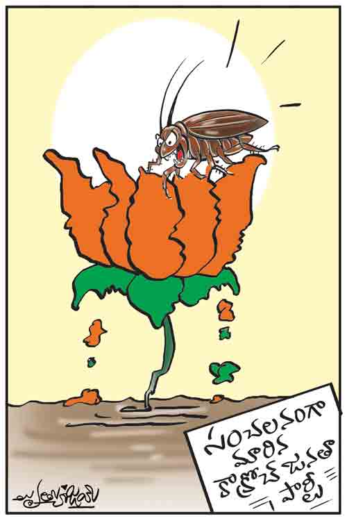 Cartoon