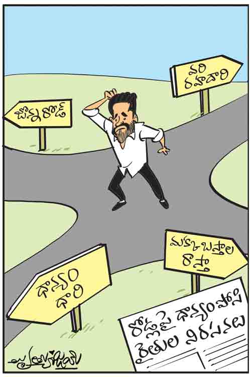 Cartoon