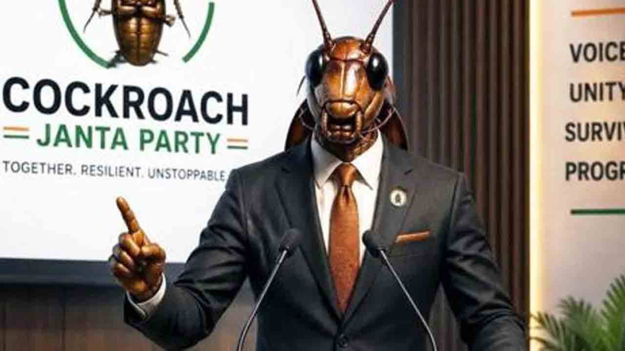 బొద్దింకలు నేర్పిన పాఠం