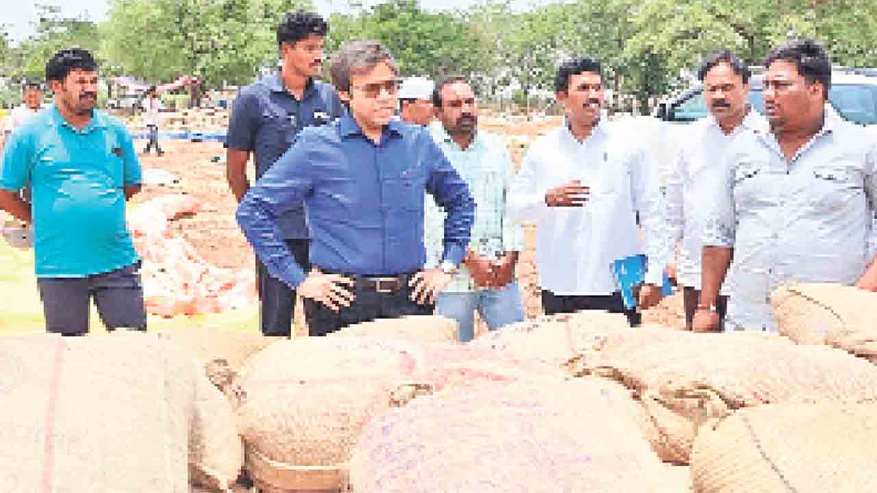 మొక్కజొన్నలను వెంటనే తరలించాలి