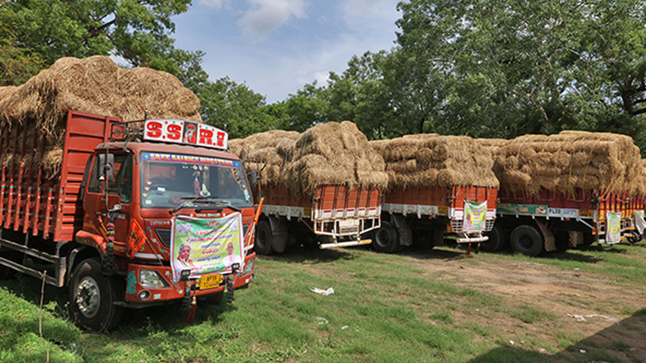 Dry Fodder Donate | ఎస్వీ గోశాలకు 1600 టన్నుల ఎండుగడ్డి విరాళం