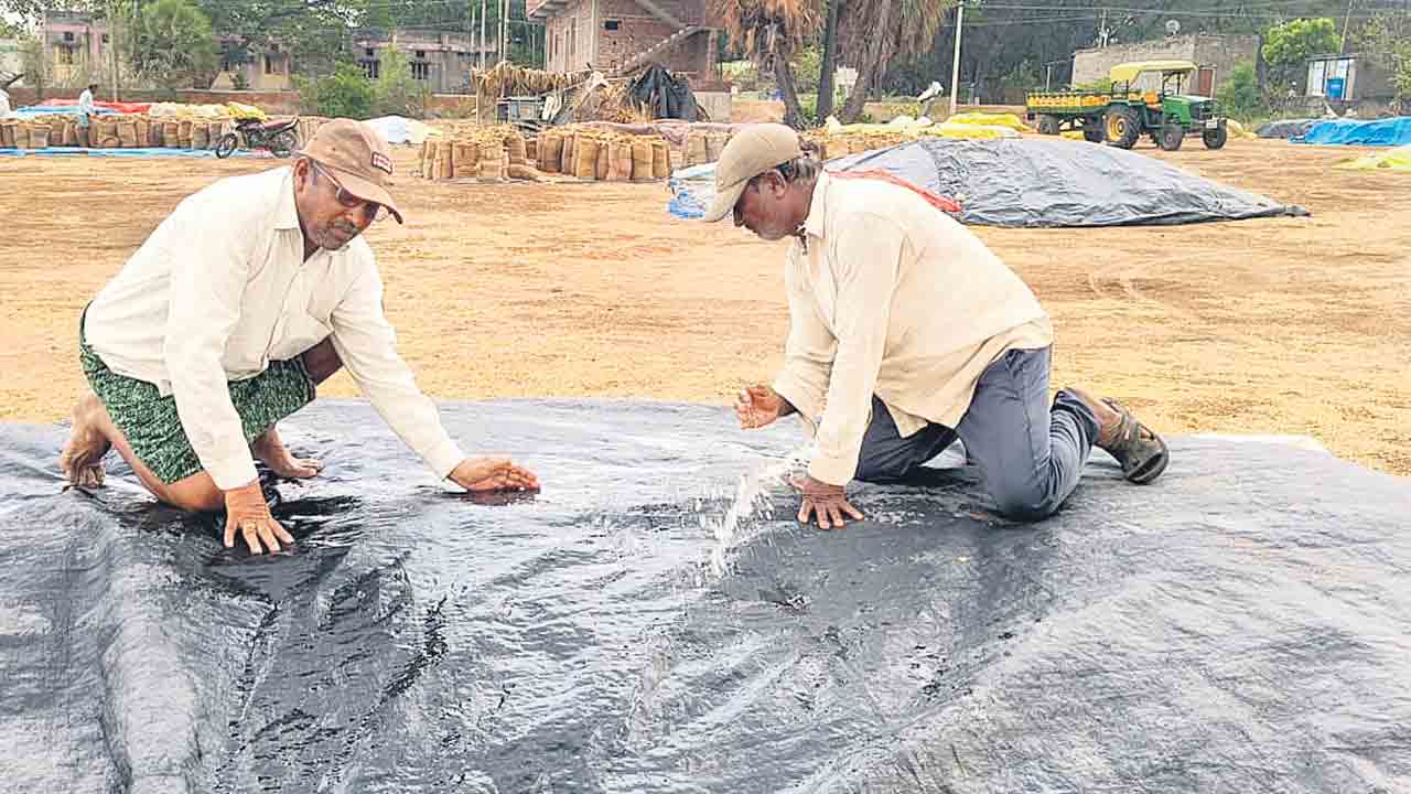 Farmers
