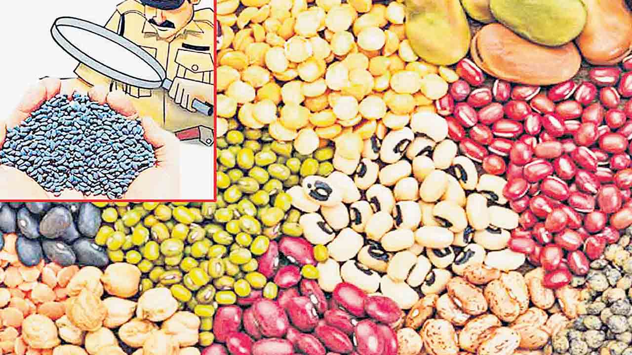 నకిలీ విత్తనాల బెడద తప్పేనా?.. సమీపిస్తున్న వానకాలం