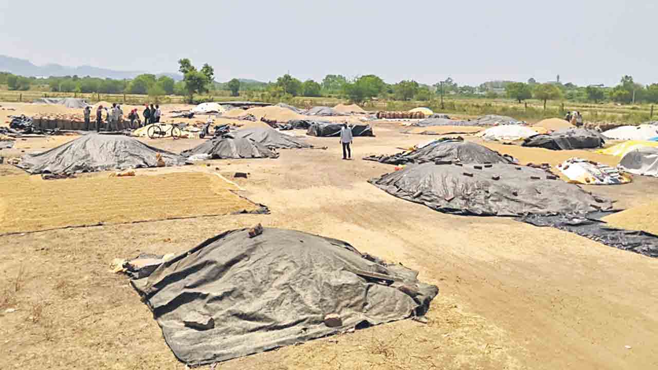 రైతన్నకు ఎంత బాధ!