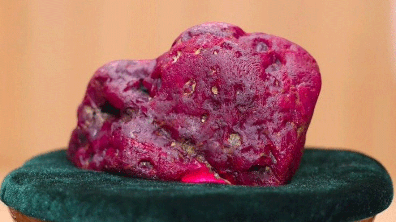 Giant Ruby | కెంపుల లోయలో భారీ రూబీ లభ్యం.. దాని విలువ ఎంతో తెలుసా..?