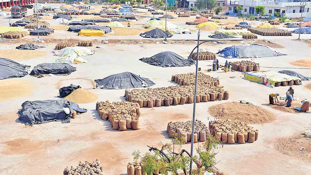 Grain Bags