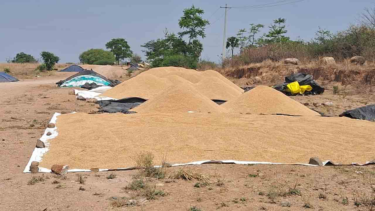 Grain Purchase Centres1