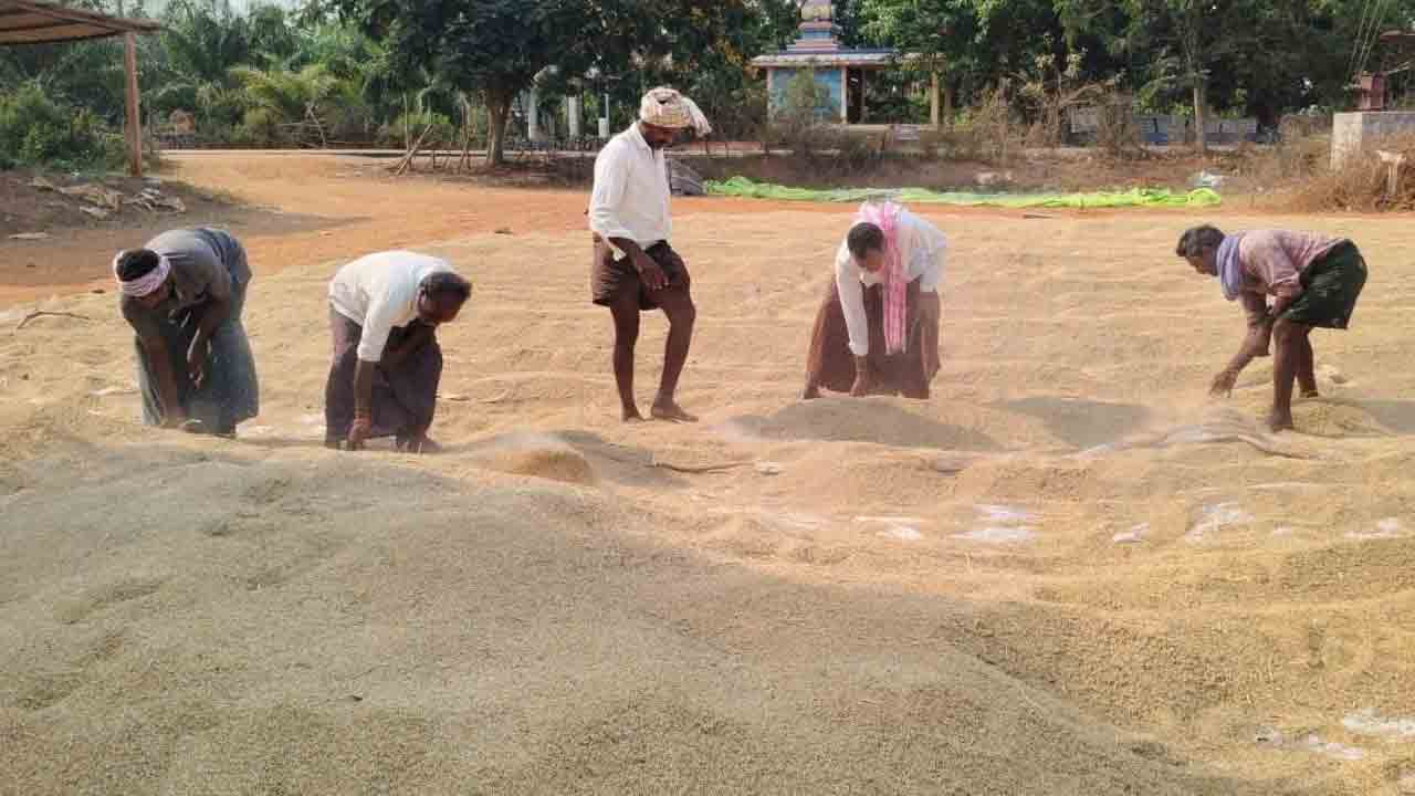 కల్లాల్లో ధాన్యం.. కళ్లల్లో దైన్యం
