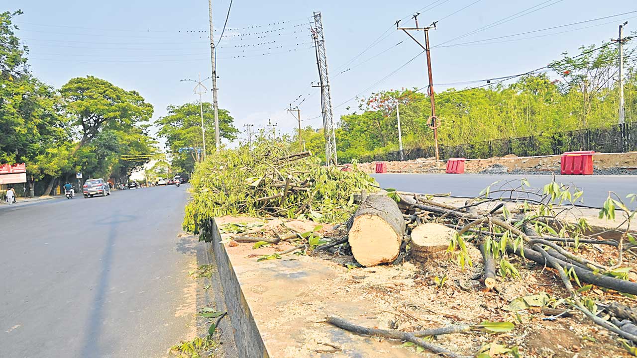 చెట్లు నరకొద్దు