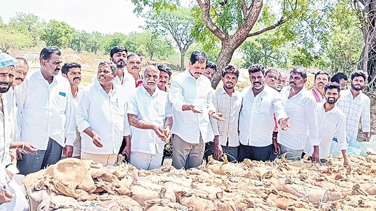వడ్ల కొనుగోలులో కాంగ్రెస్‌ విఫలం