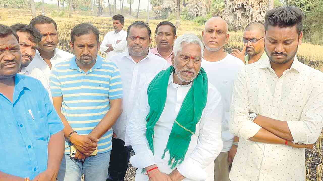 జీవనోపాధి కల్పించాలి.. ఈత, తాటిచెట్లు కాలిపోవడం బాధాకరం