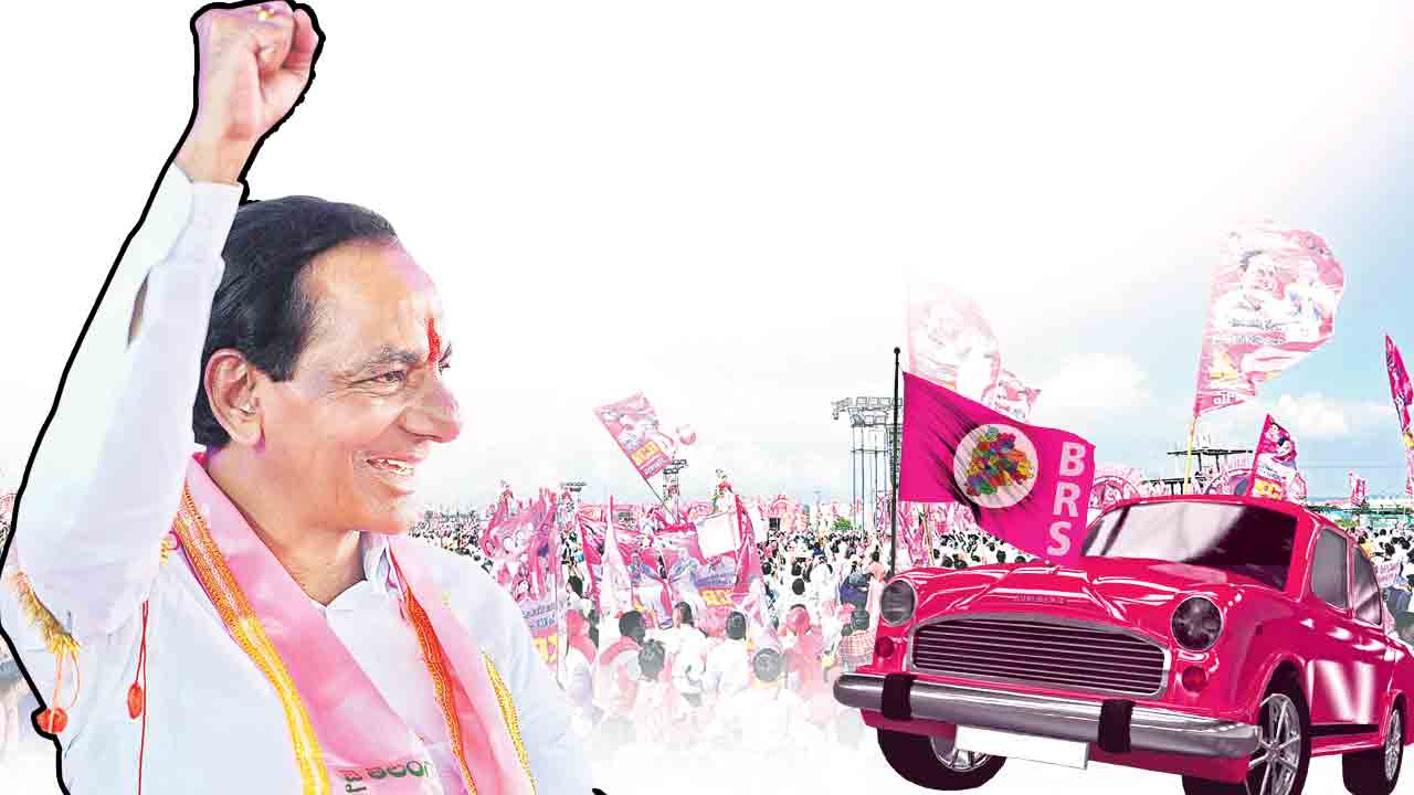 గులాబీలో నూతన ఉత్తేజం