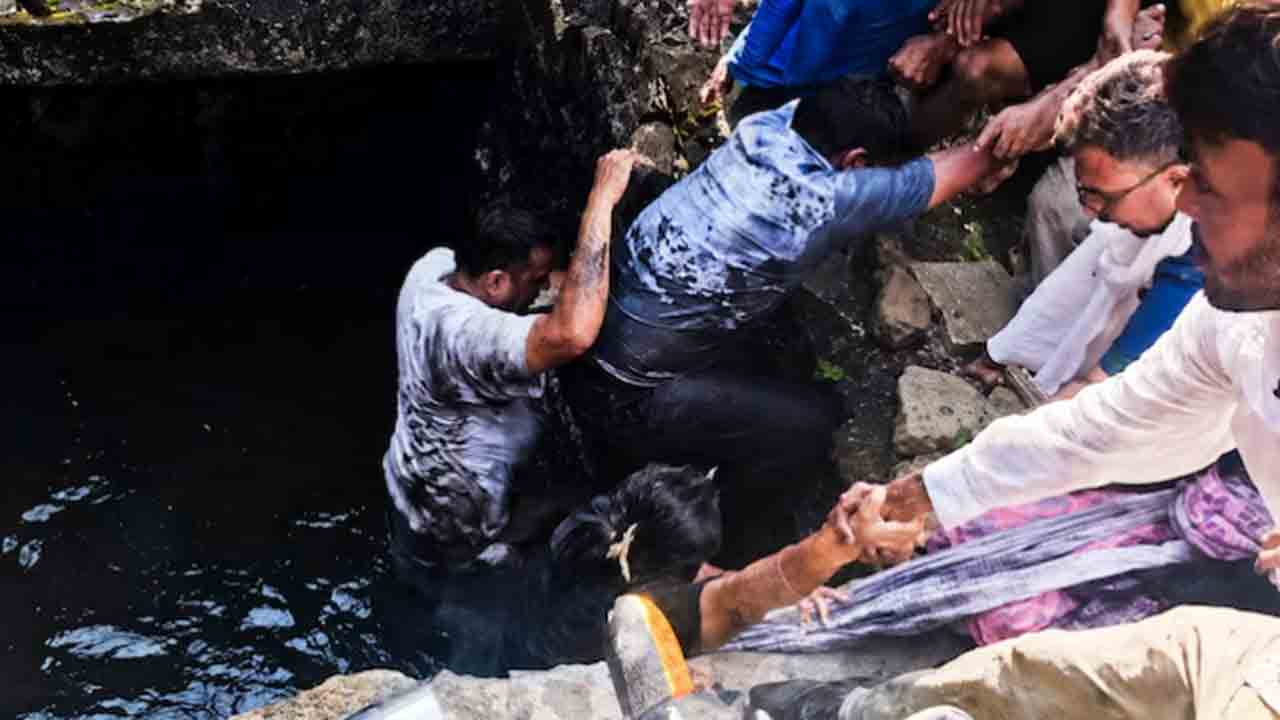 BEd aspirants fall into drain | కూలిన స్లాబ్‌.. మురికి కాలువలో పడిన బీఈడీ అభ్యర్థులు