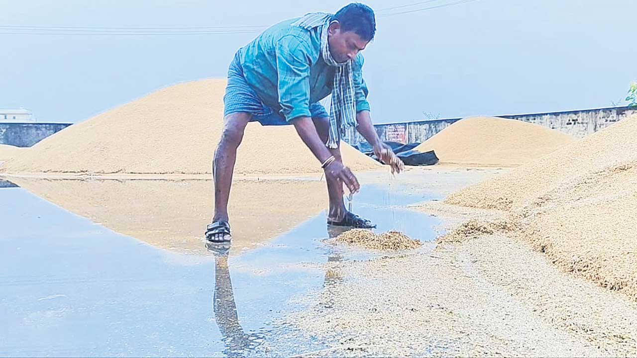 రెక్కలకష్టం నీళ్లపాలు