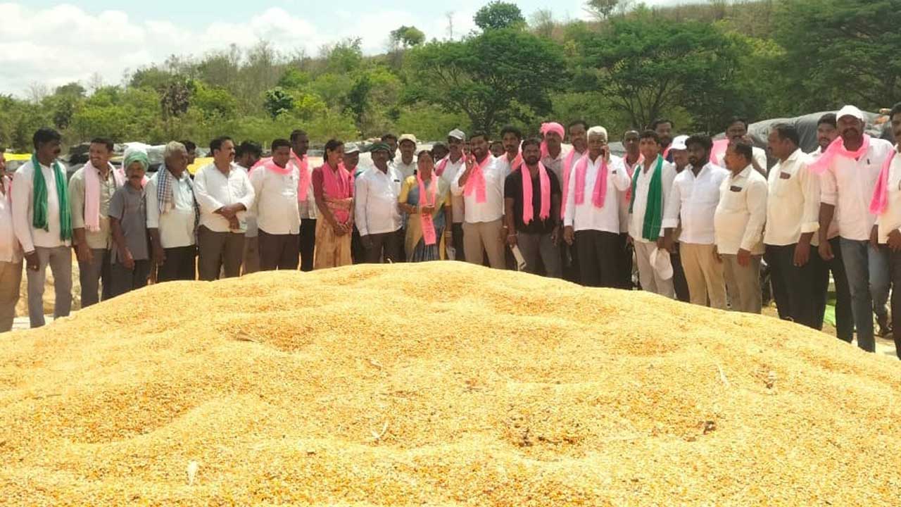 తడిసిన మక్కలను ప్రభుత్వమే కొనాలి