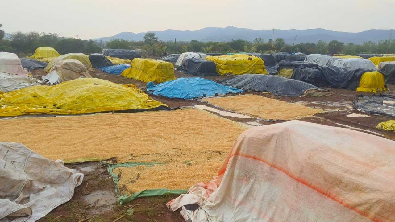 గాలివాన బీభత్సం