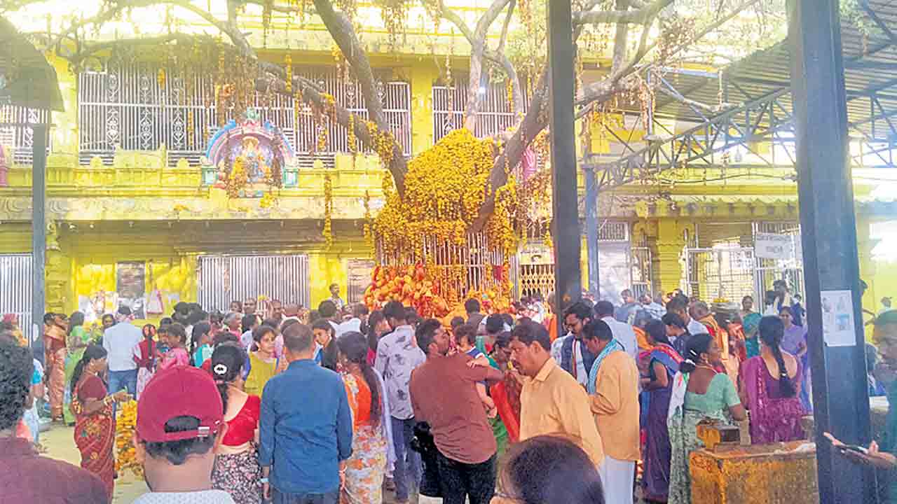 కల్పవృక్షానికి రక్షణ కరువు