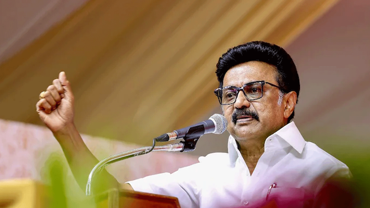 MK Stalin | డీఎంకే దయాదాక్షిణ్యాలపైనే తమిళనాడు సర్కారు.. మాజీ సీఎం స్టాలిన్‌ సంచలన వ్యాఖ్యలు
