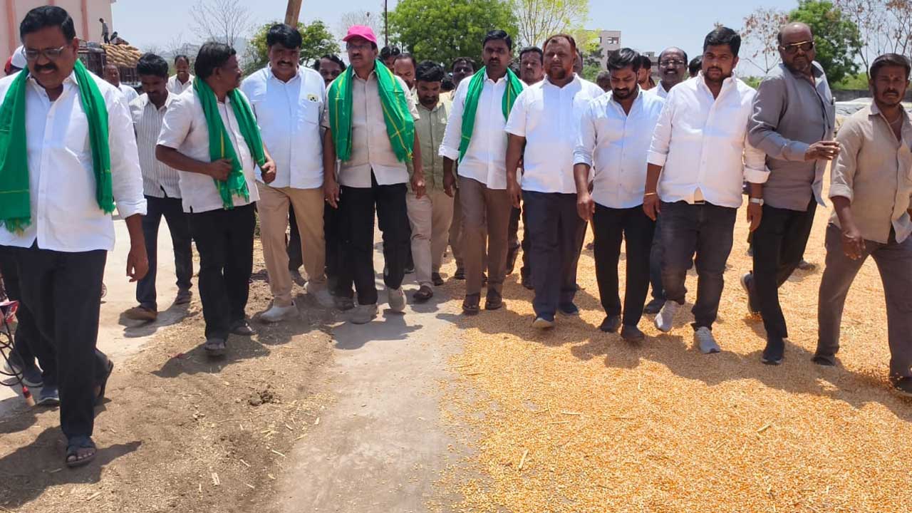 రెండురోజుల్లో మొక్కజొన్న ధాన్యం కొనుగోలు చేయాలి