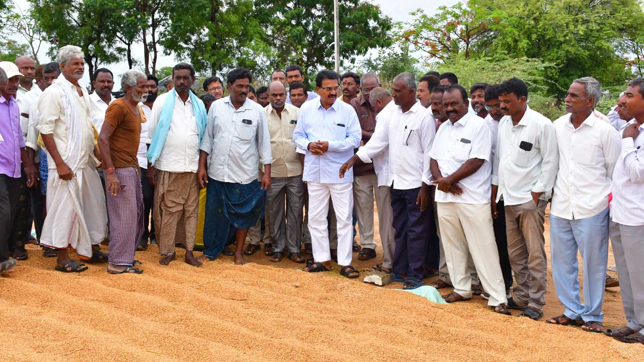 తడిసిన ప్రతి గింజనూ కొనాలి