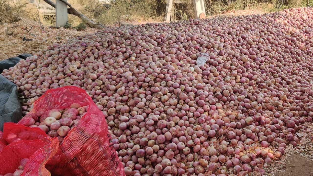 ఉల్లిధకలు ఢమాల్‌..
