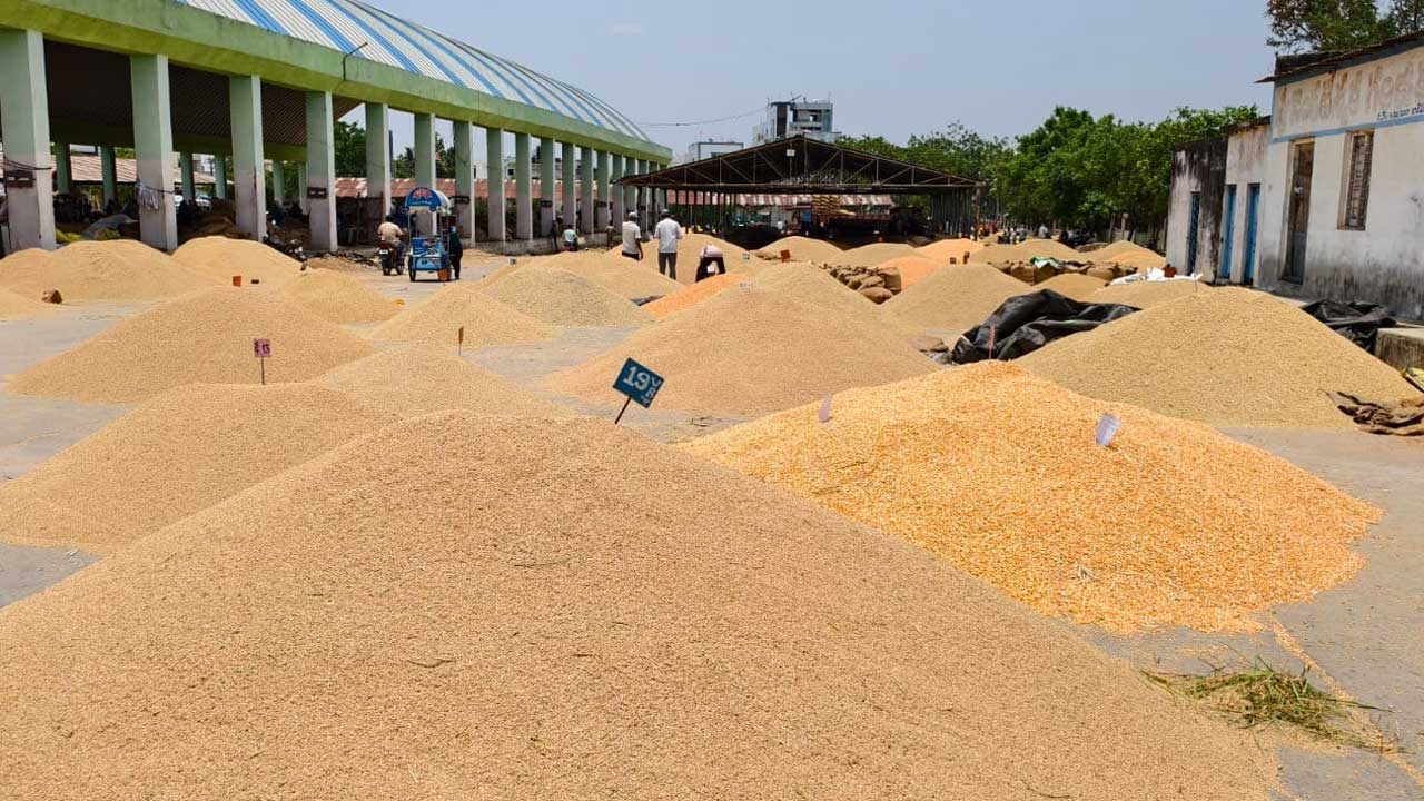 మార్కెట్లను ముంచెత్తి..