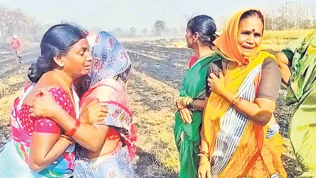 అగ్గికి మక్క బుగ్గి.. బూడిదైన 200 క్వింటాళ్ల పంట
