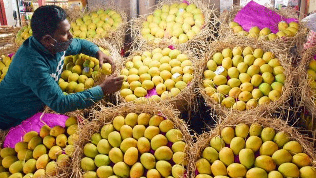 Indian Mangoes | భారత మామిడిపండ్లపై జపాన్‌లో 20 ఏళ్ల తర్వాత మళ్లీ నిషేధం..!