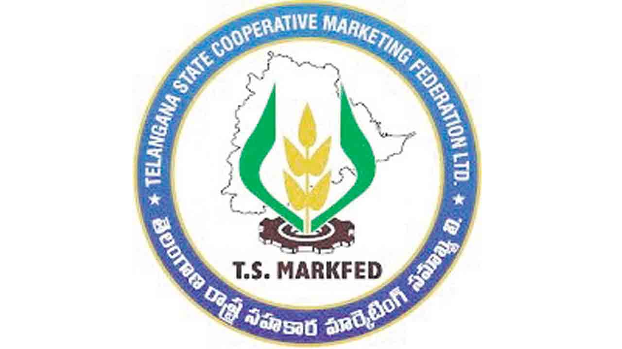 మార్క్‌ఫెడ్‌ మక్కల టెండర్లు రద్దు!.. తక్కువ ధర వచ్చిందన్న అధికారులు