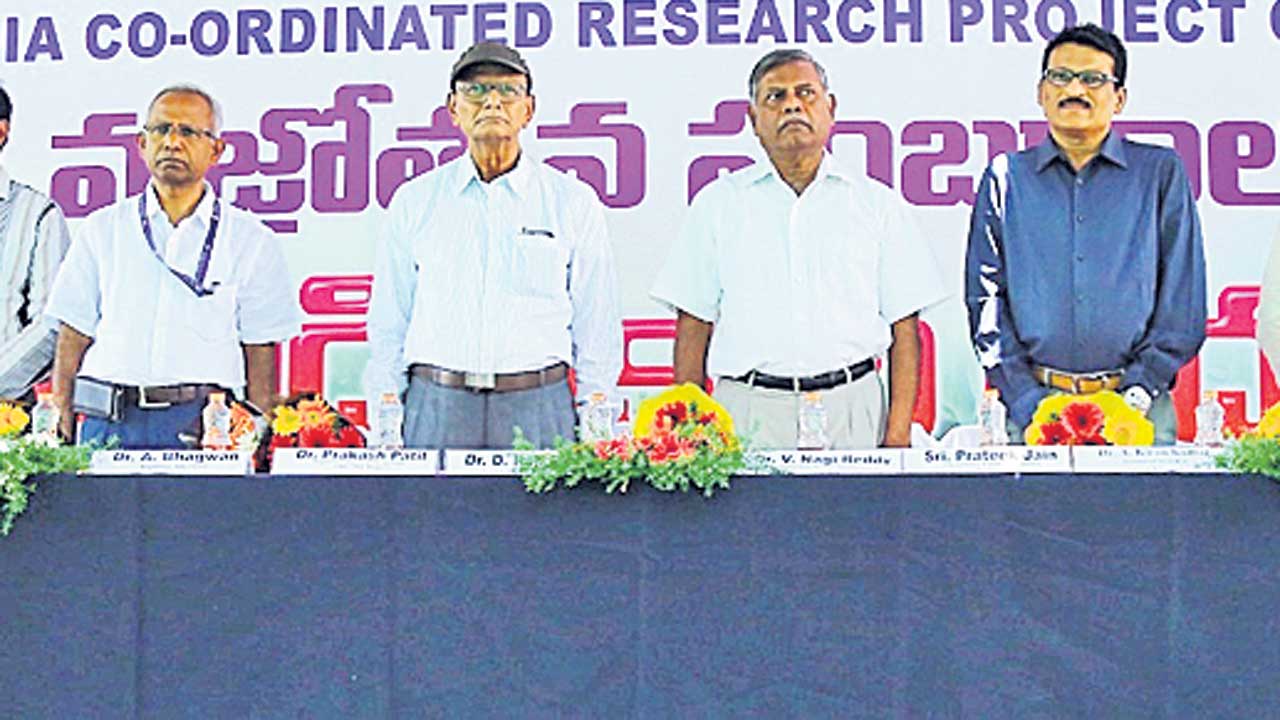 నోరూరించిన మామిడి