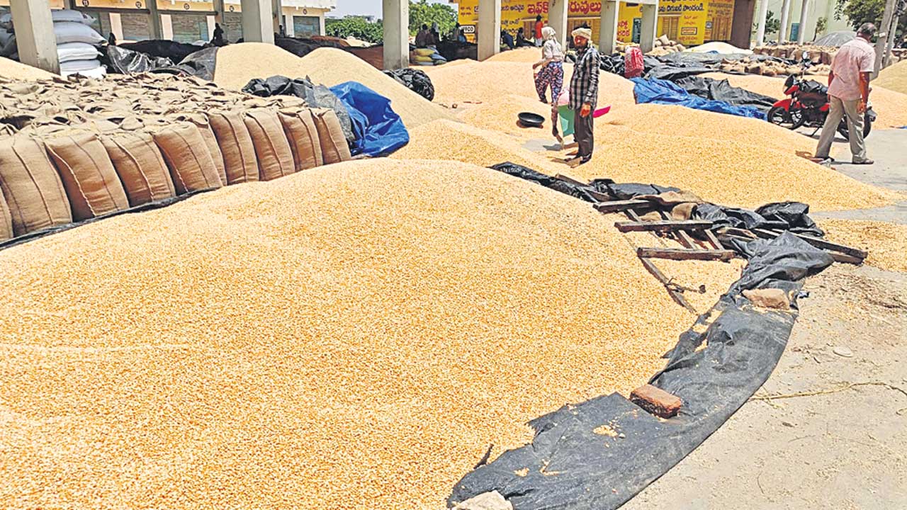 మక్క రైతుకు మస్తు కష్టాలు