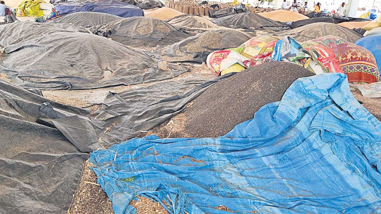 పొద్దుతిరుగుడు కొనేదెప్పుడో