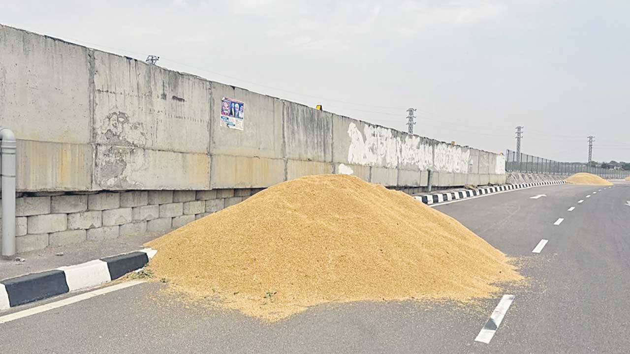 దారిపొడవునా ధాన్యం