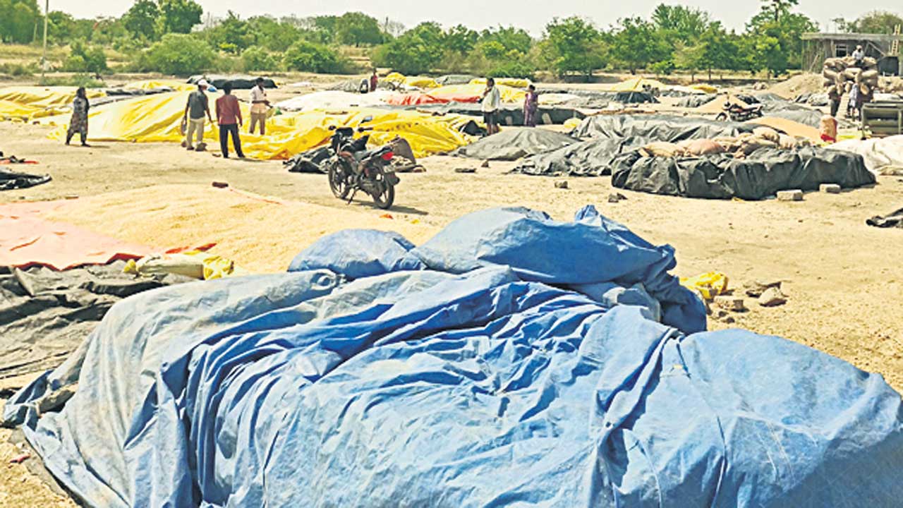 మక్క రైతుకు మస్తు కష్టాలు