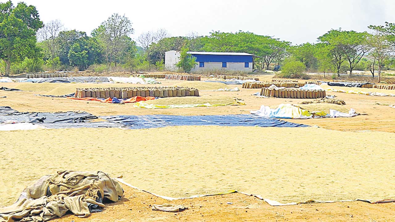 కొన్నది 9.02 శాతమే