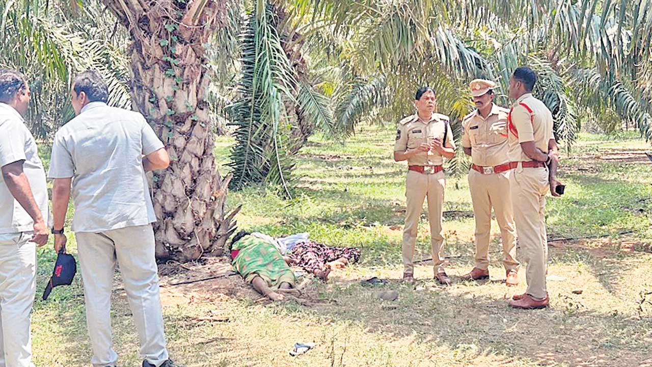 ఆస్తి కోసం తల్లీకూతుళ్ల హత్య!
