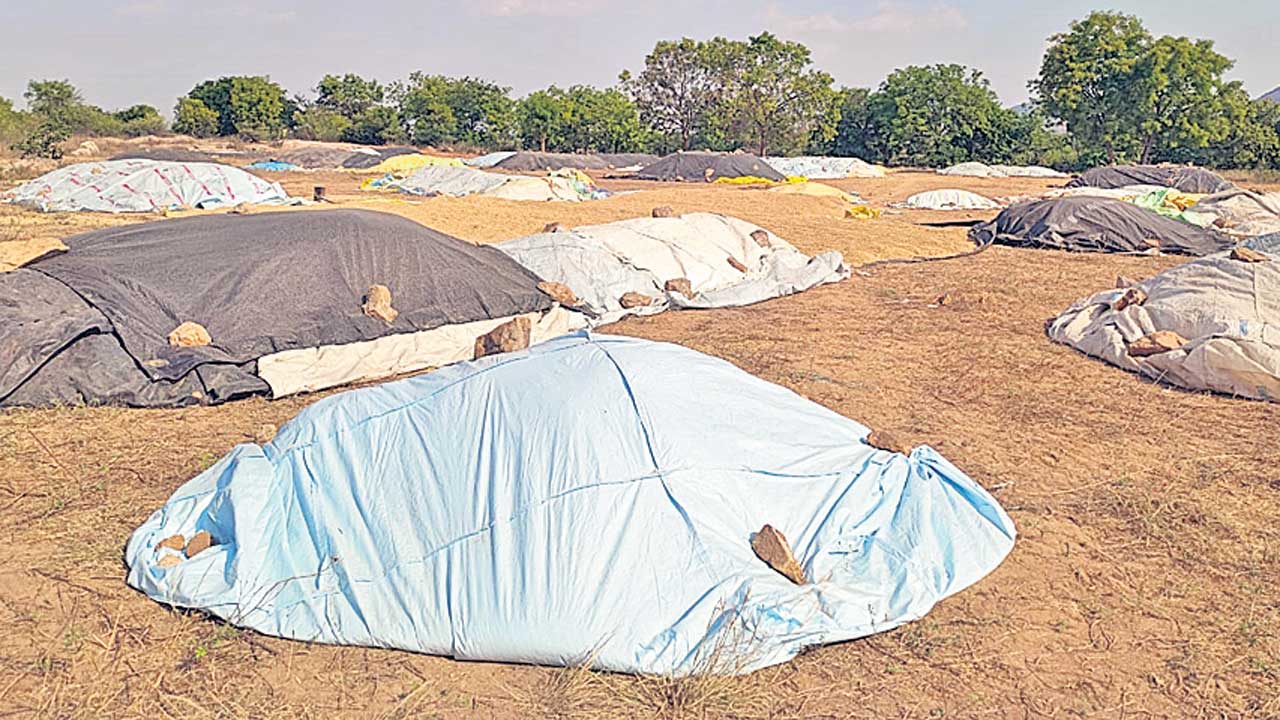 కొనుగోళ్లు తక్కువ.. కోతలెక్కువ