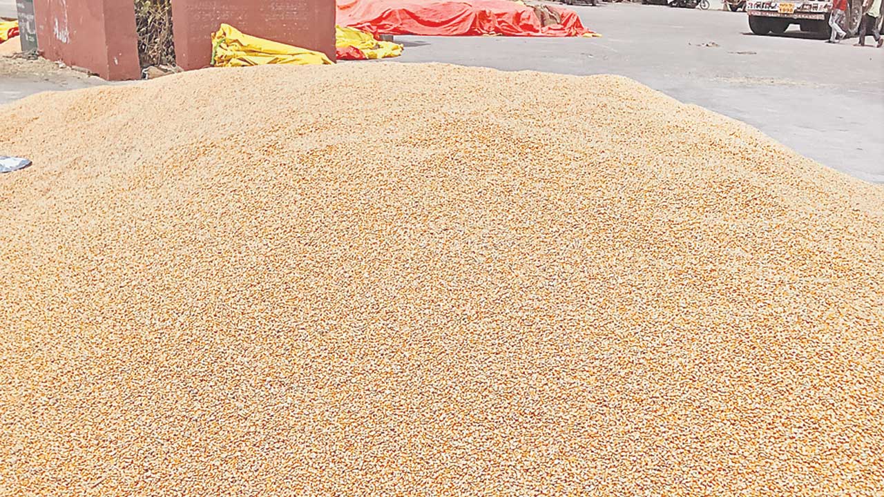 కొనుగోళ్లు బంద్‌