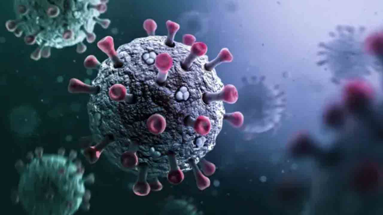 కొత్త కరోనా వైరస్‌ గుర్తింపు