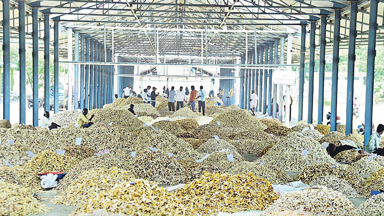 ఆమ్‌చూర్‌ ధర హాంఫట్‌..
