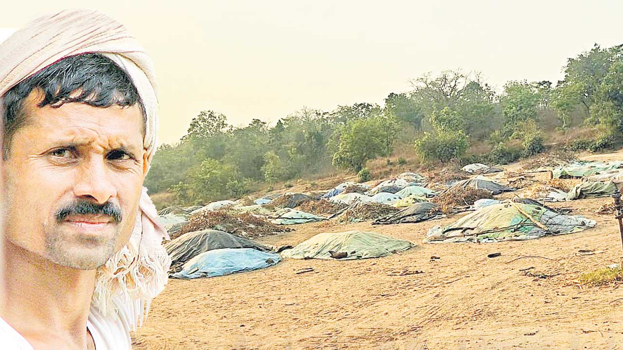 ఎక్కడి జొన్నలు.. అక్కడే!