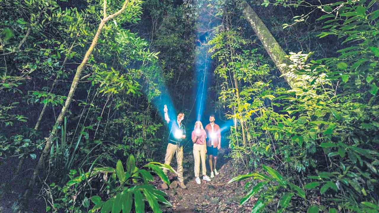 Noctourism